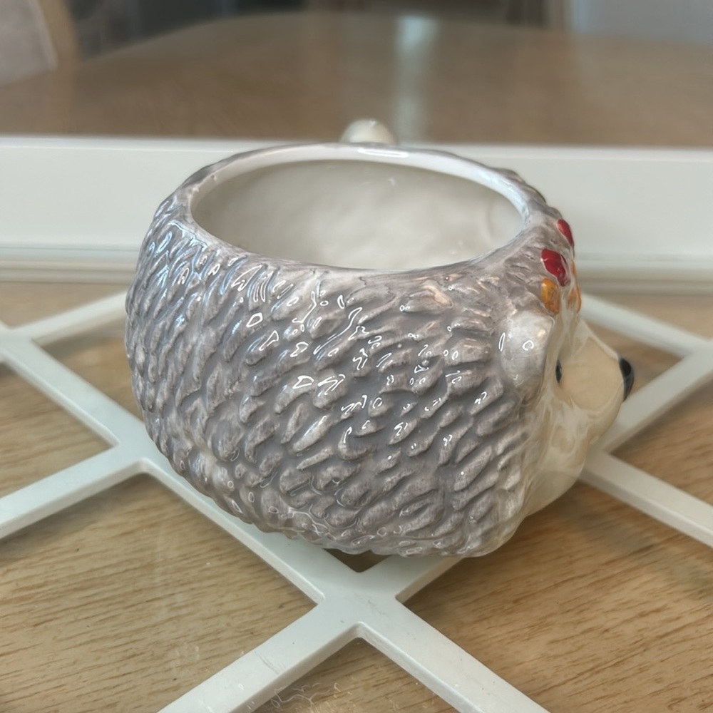 Robert Stanley Hedgehog Mug - Picture 4 of 8